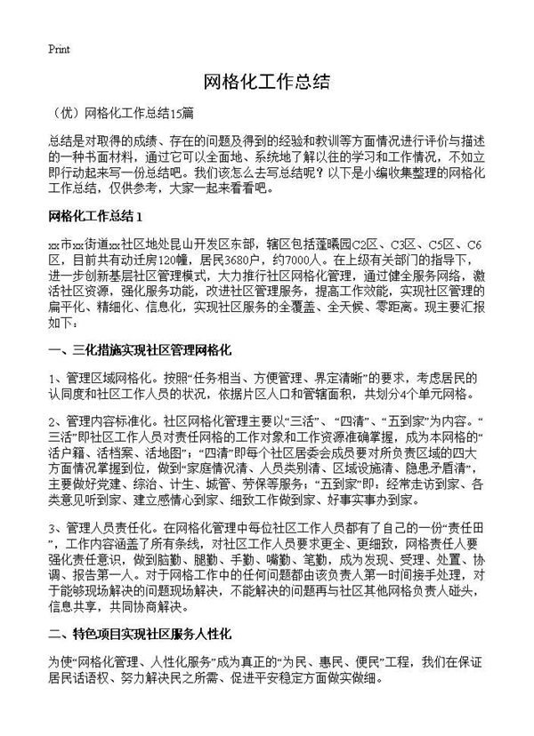 网格化工作总结 (共24页)