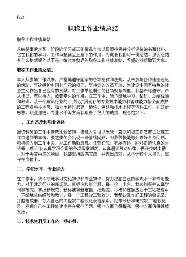 职称工作业绩总结 (共13页)