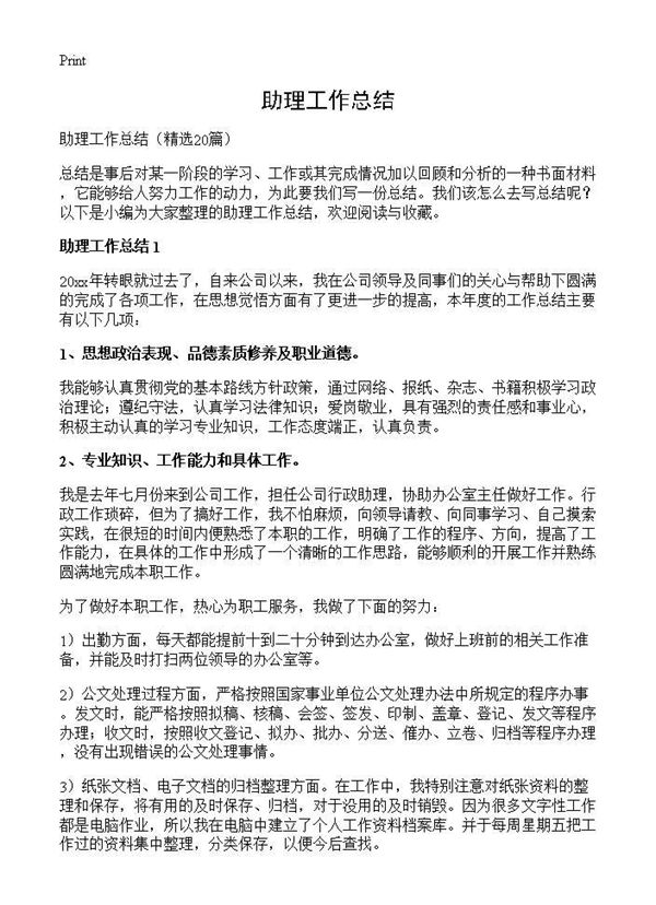 助理工作总结 (共21页)