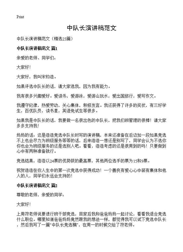 中队长演讲稿范文 (共12页)