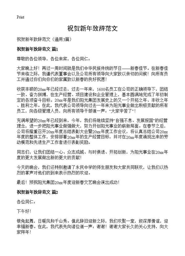 祝贺新年致辞范文 (共2页)