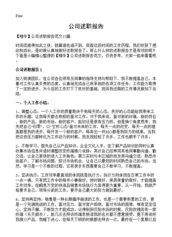 公司述职报告 (共15页)