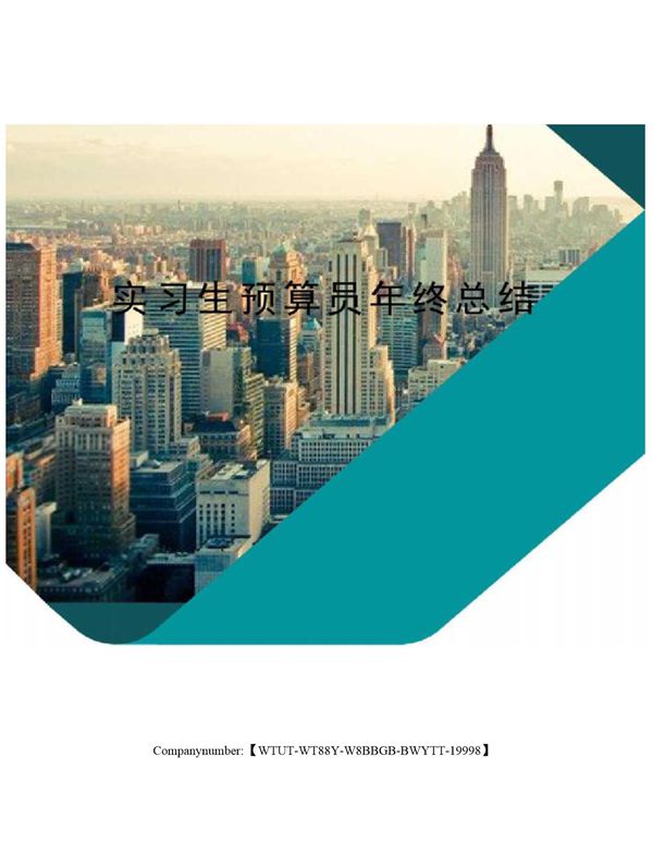 实习生预算员年终总结 (共4页)