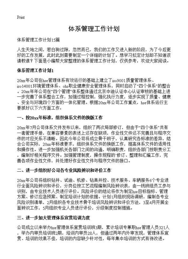 体系管理工作计划 (共28页)