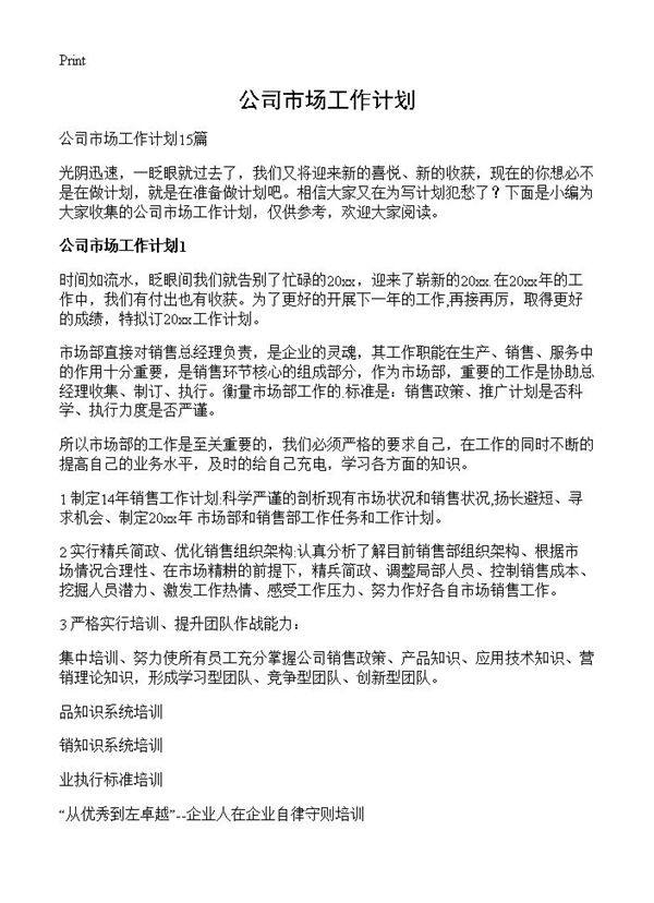 公司市场工作计划 (共23页)
