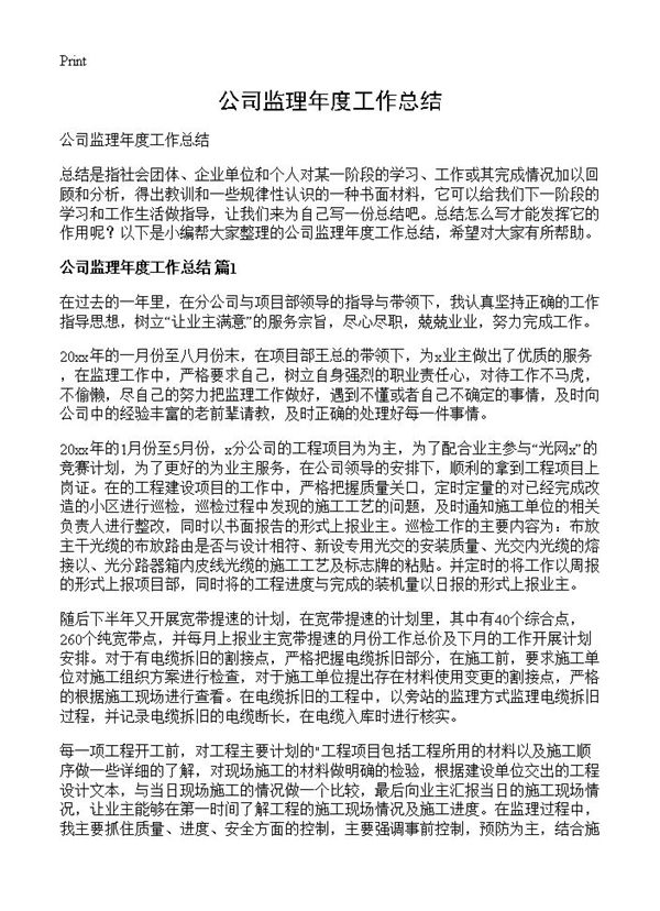 公司监理年度工作总结 (共28页)