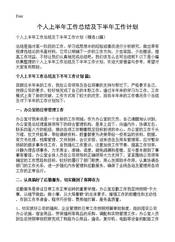 个人上半年工作总结及下半年工作计划 (共19页)