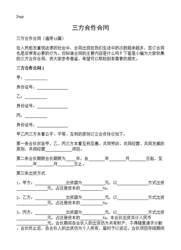 三方合作合同 (共24页)