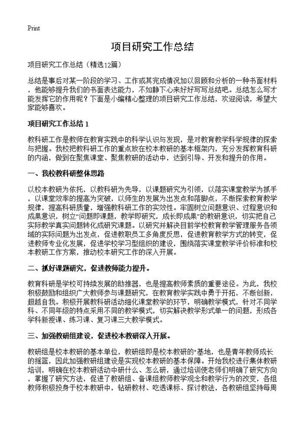 项目研究工作总结 (共25页)