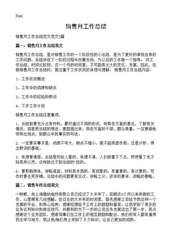 销售月工作总结 (共8页)