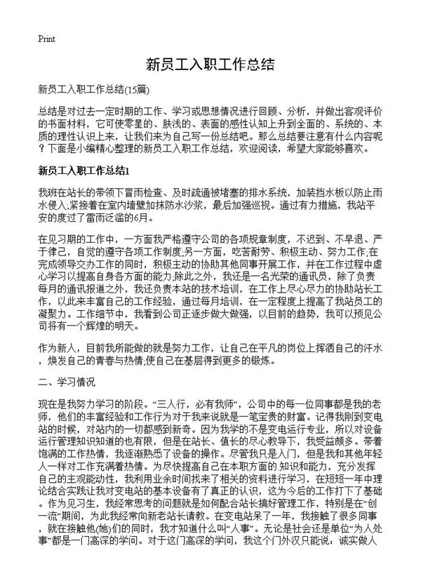 新员工入职工作总结 (共13页)