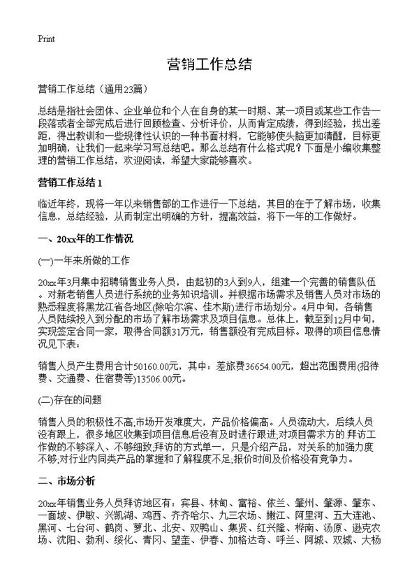 营销工作总结 (共31页)