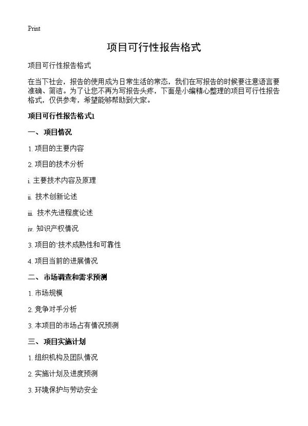 项目可行性报告格式 (共45页)