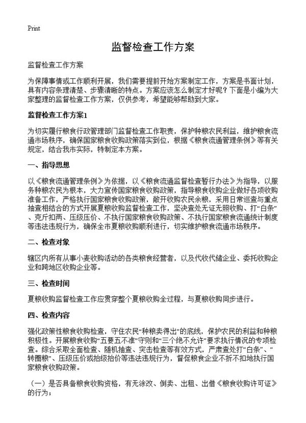 监督检查工作方案 (共20页)