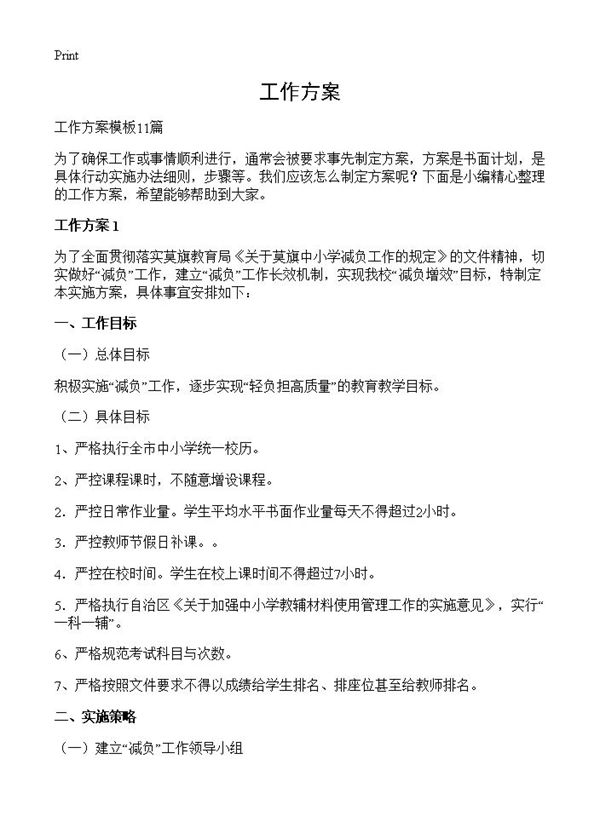 工作方案 (共17页)