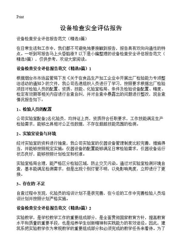 设备检查安全评估报告 (共11页)