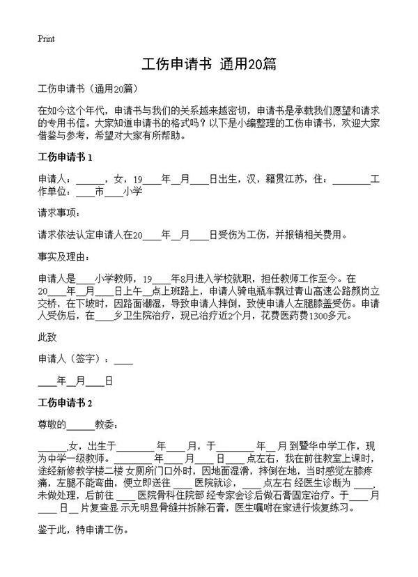 工伤申请书 (共13页)