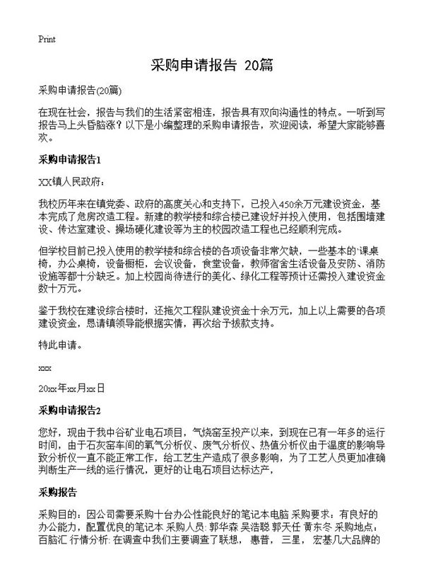 采购申请报告 (共10页)