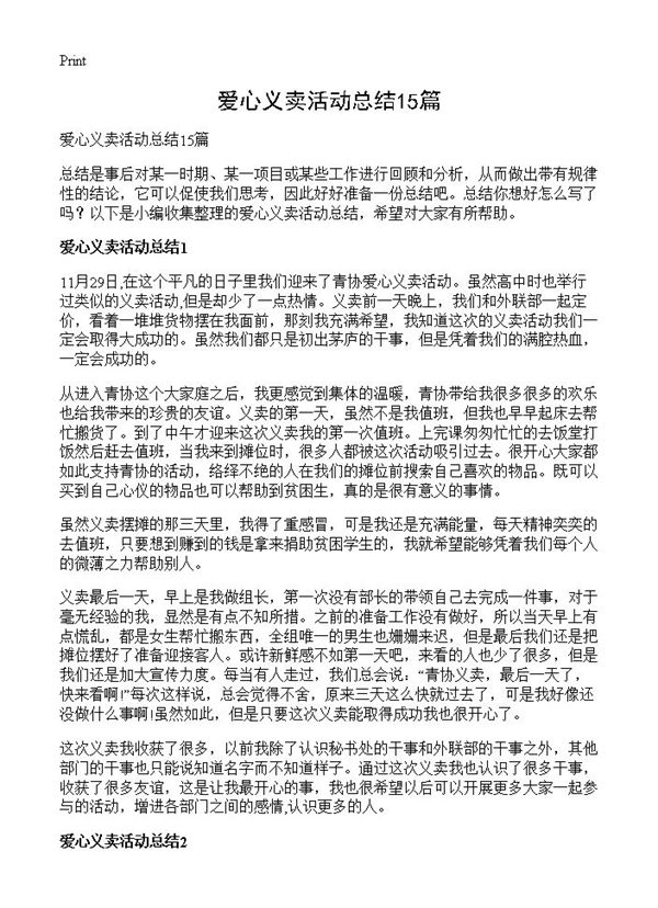 爱心义卖活动总结 (共11页)