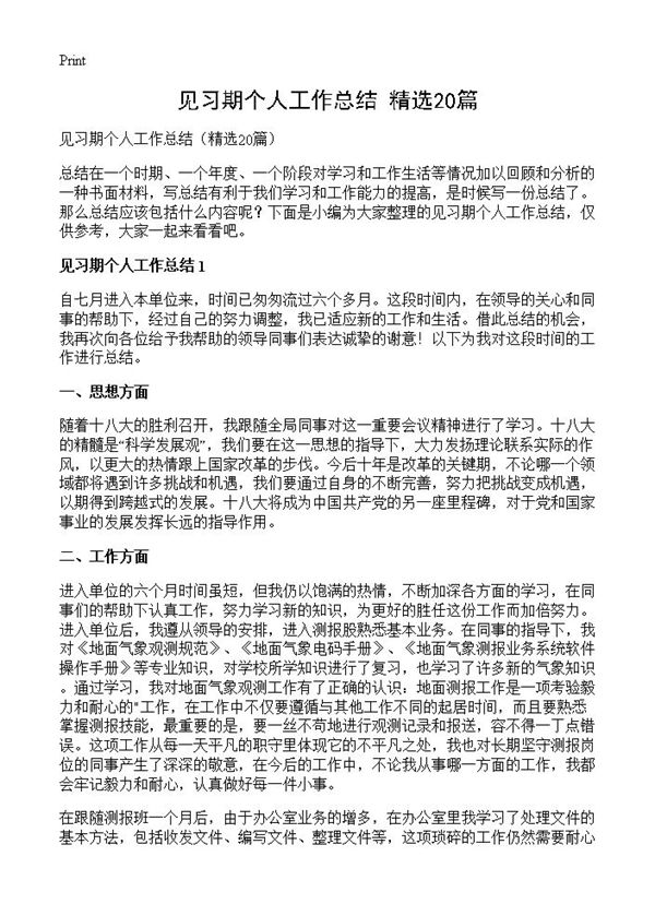 见习期个人工作总结 (共24页)