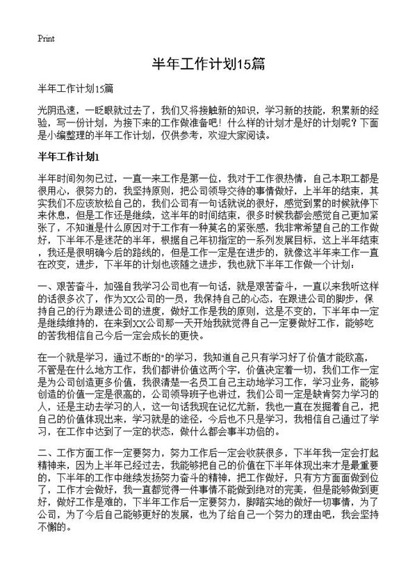 半年工作计划 (共22页)