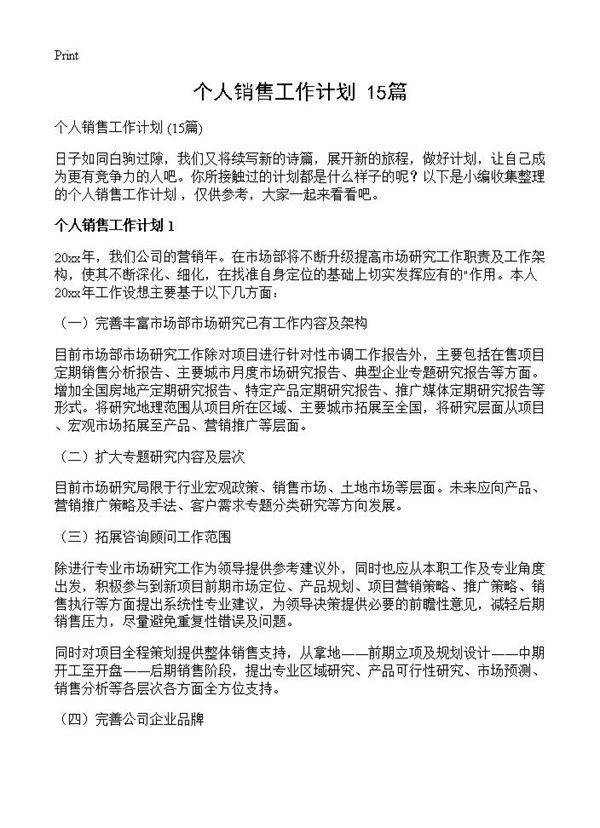 个人销售工作计划  (共19页)
