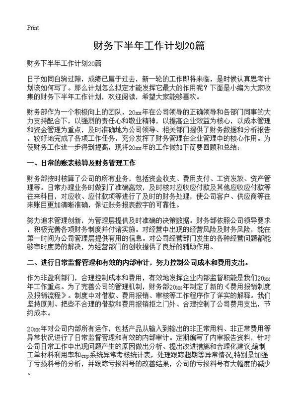财务下半年工作计划 (共29页)