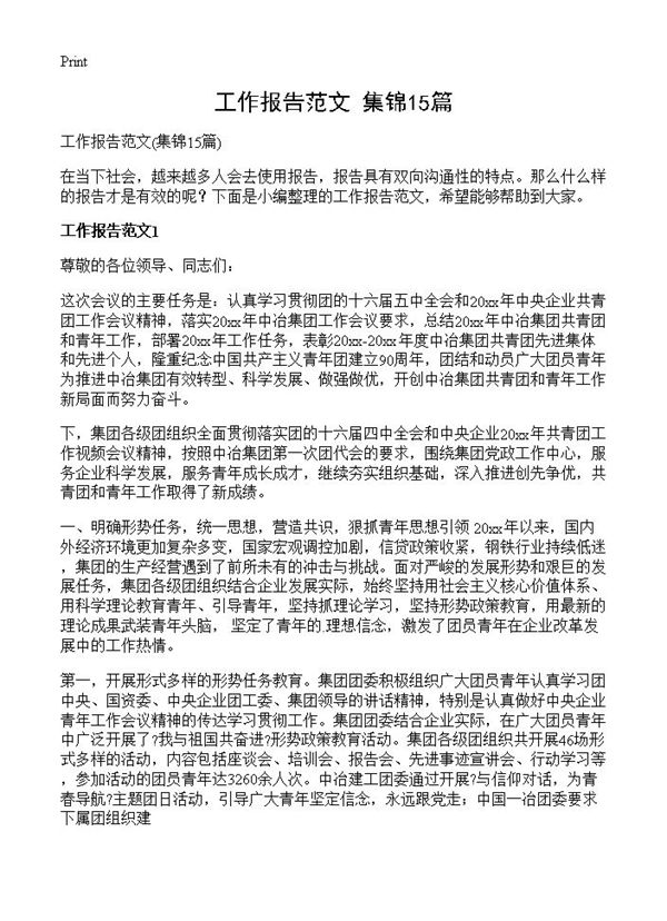 工作报告范文 (共26页)