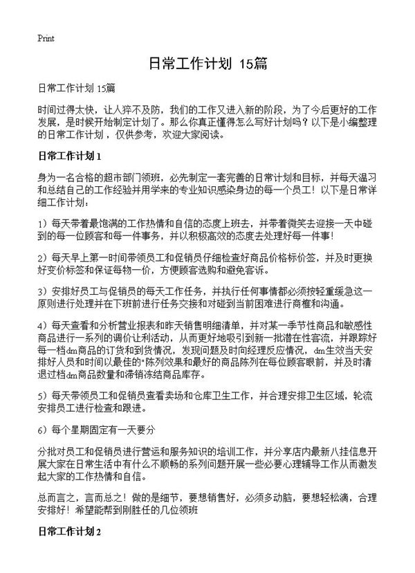 日常工作计划  (共25页)