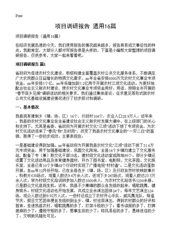 项目调研报告 (共41页)