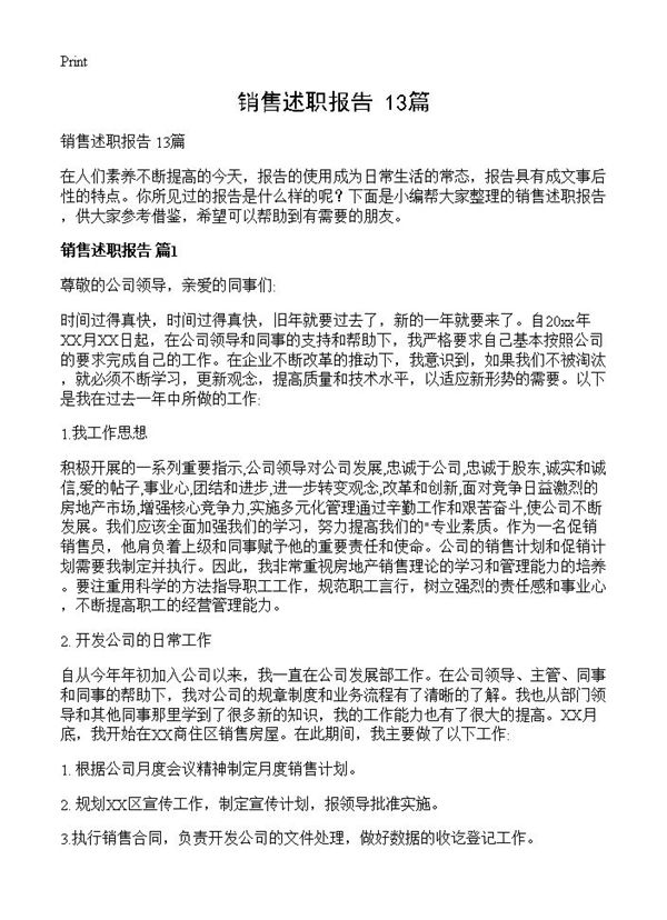 销售述职报告 (共14页)