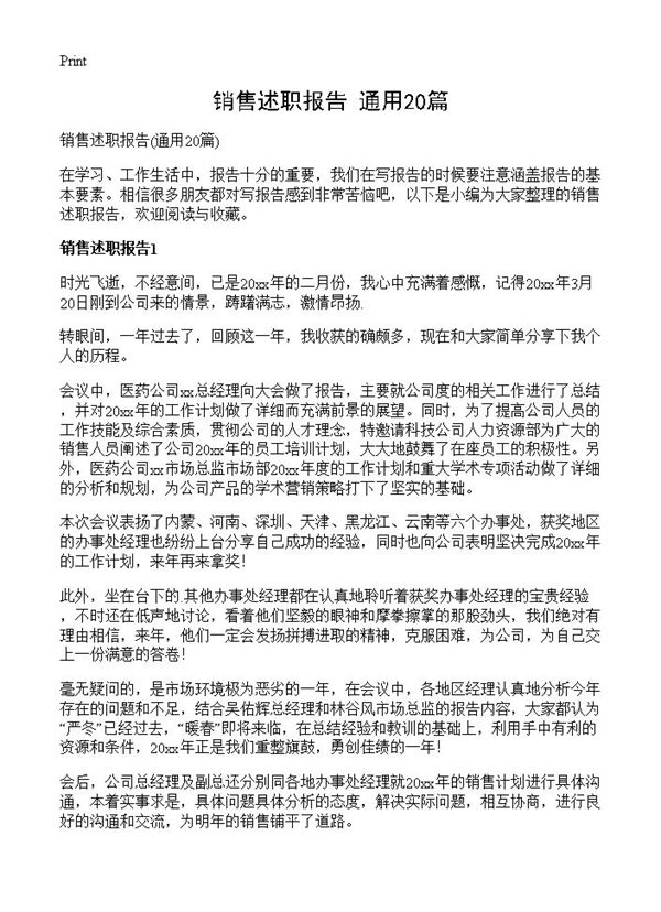 销售述职报告 (共30页)