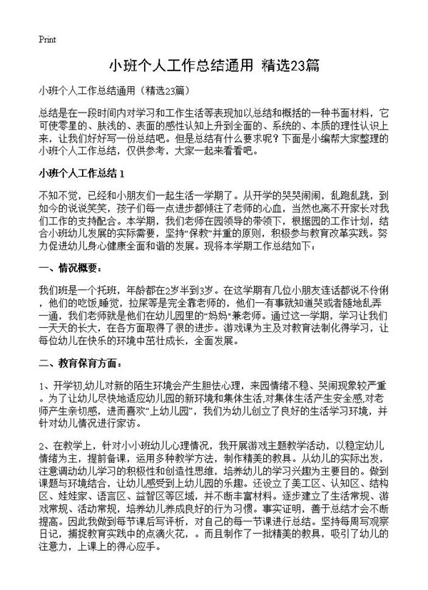小班个人工作总结通用 (共28页)