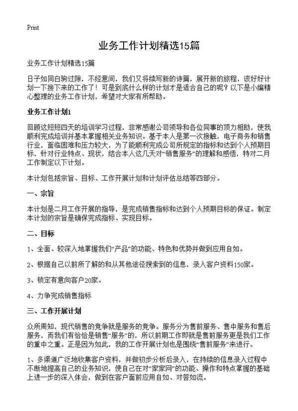 业务工作计划精选 (共21页)