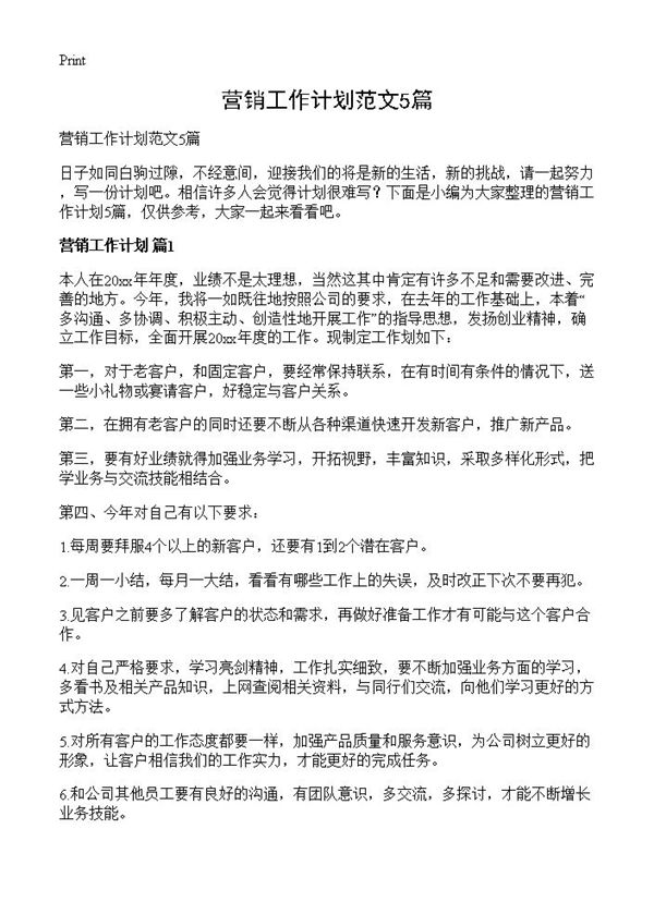营销工作计划范文 (共5页)
