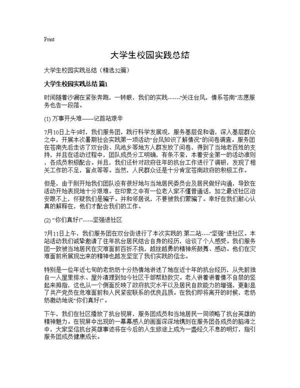 大学生校园实践总结 (共34页)