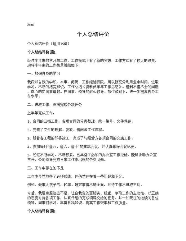 个人总结评价 (共38页)