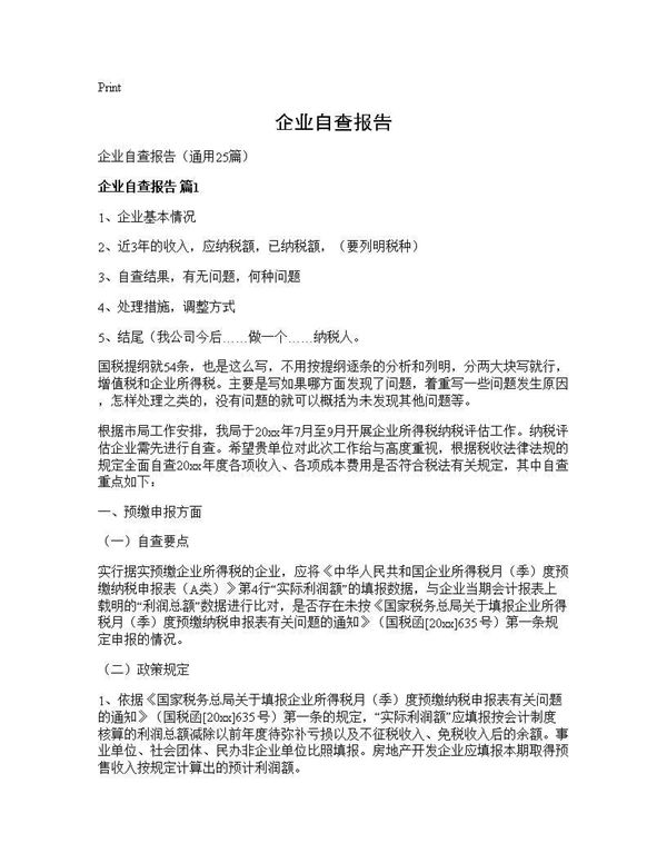企业自查报告 (共42页)