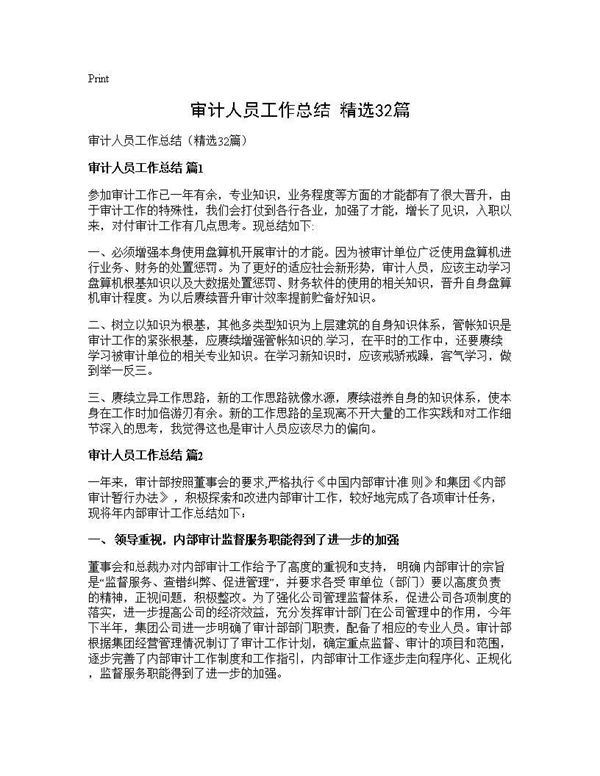 审计人员工作总结(精选) (共51页)