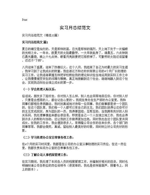 实习月总结范文