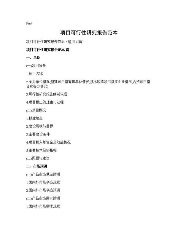 项目可行性研究报告范本 (共119页)