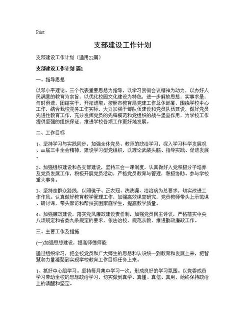 支部建设工作计划