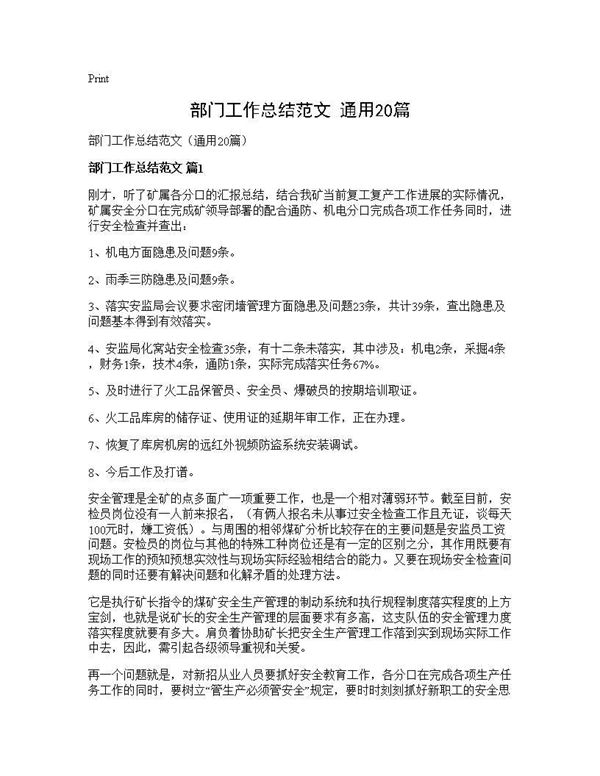 部门工作总结范文(通用) (共31页)