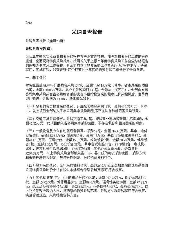 采购自查报告 (共35页)