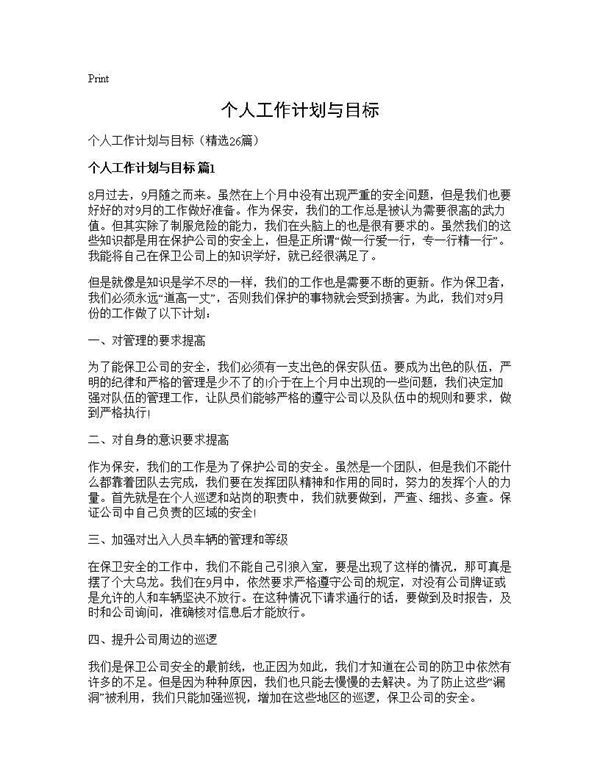 个人工作计划与目标 (共34页)