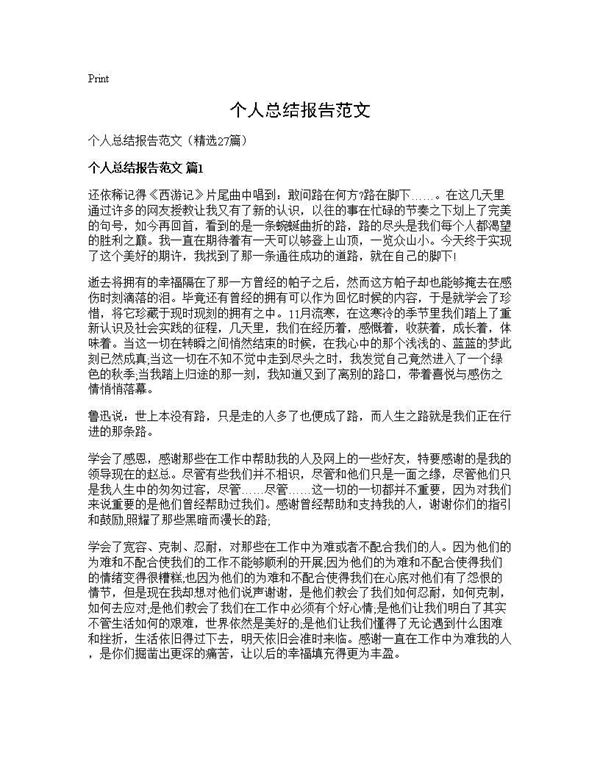 个人总结报告范文 (共33页)