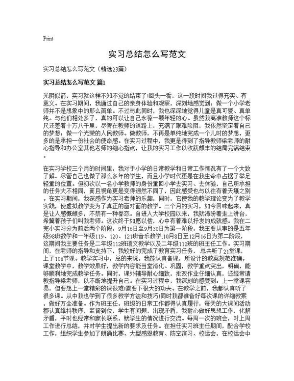 实习总结怎么写范文 (共35页)