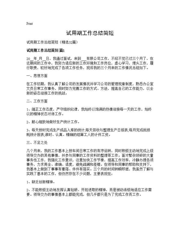 试用期工作总结简短 (共29页)