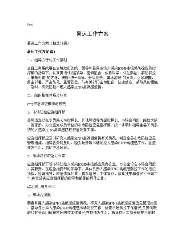 暑运工作方案 (共37页)