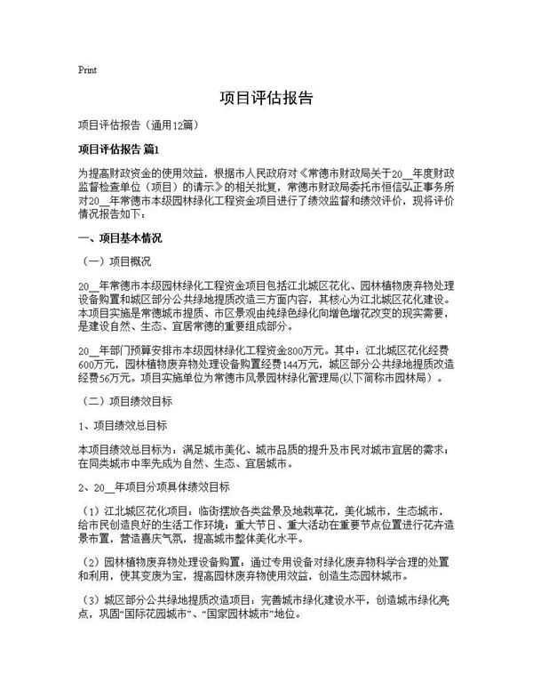 项目评估报告 (共45页)